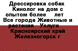 Дрессировка собак (Кинолог на дом с опытом более 10 лет) - Все города Животные и растения » Услуги   . Красноярский край,Железногорск г.